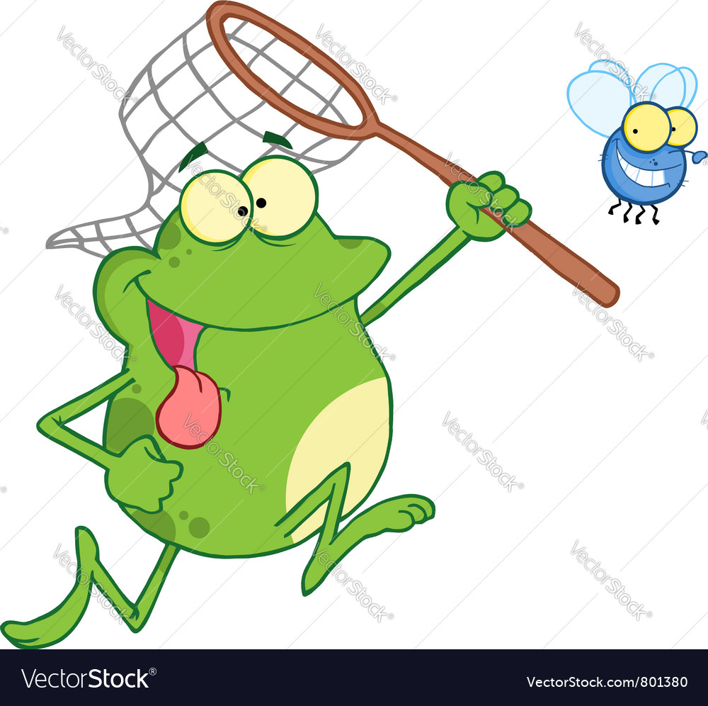 Frog chasing fly with a net Royalty Free Vector Image