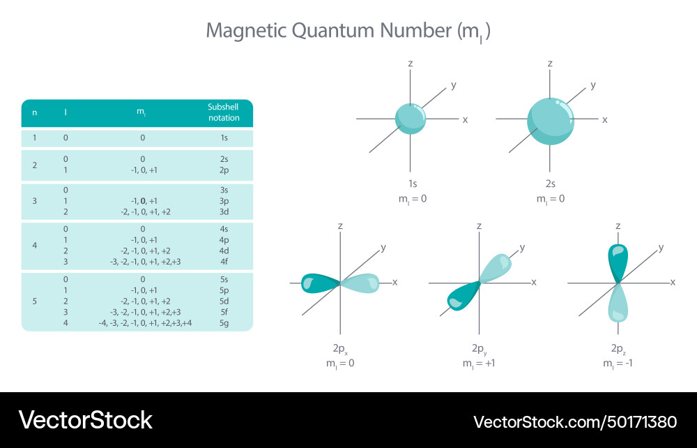 Magnetic quantum number Royalty Free Vector Image