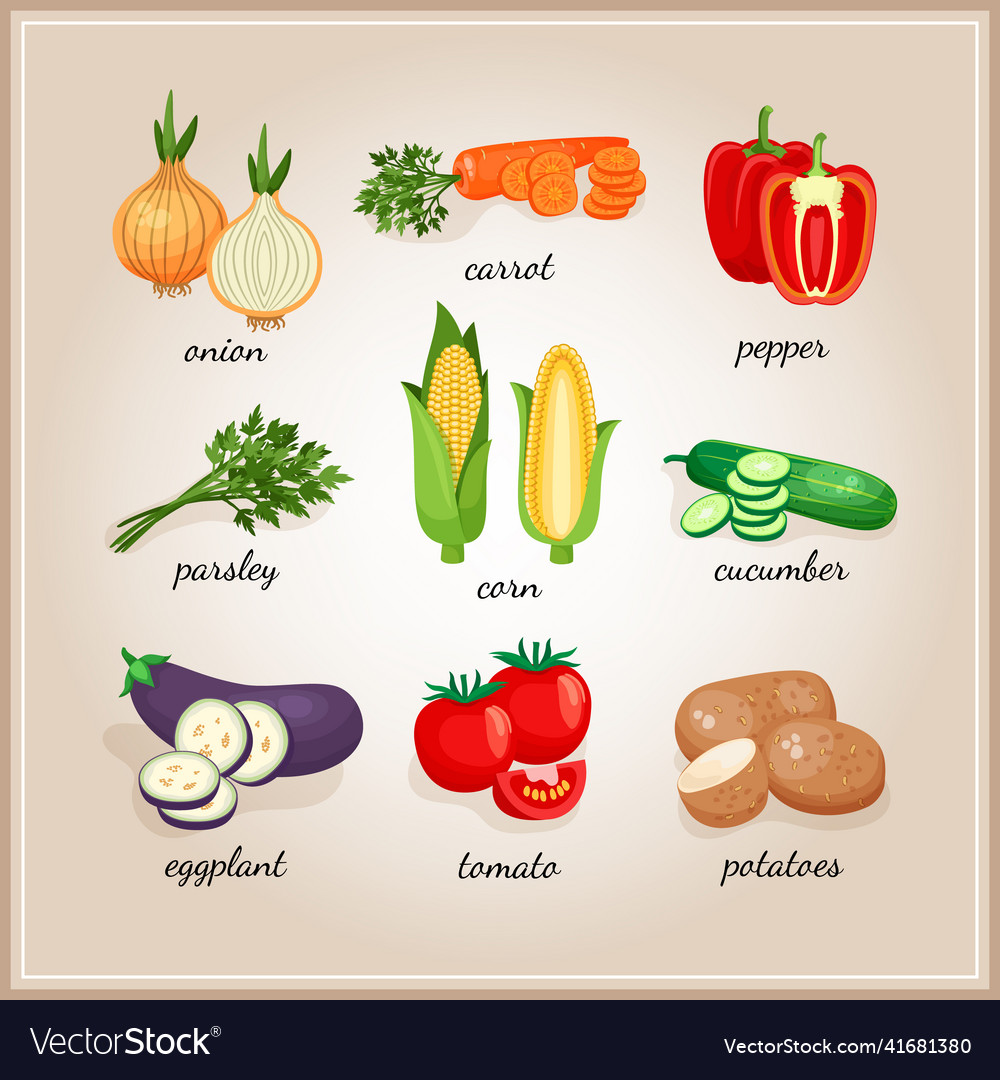 Vegetables ingredients Royalty Free Vector Image