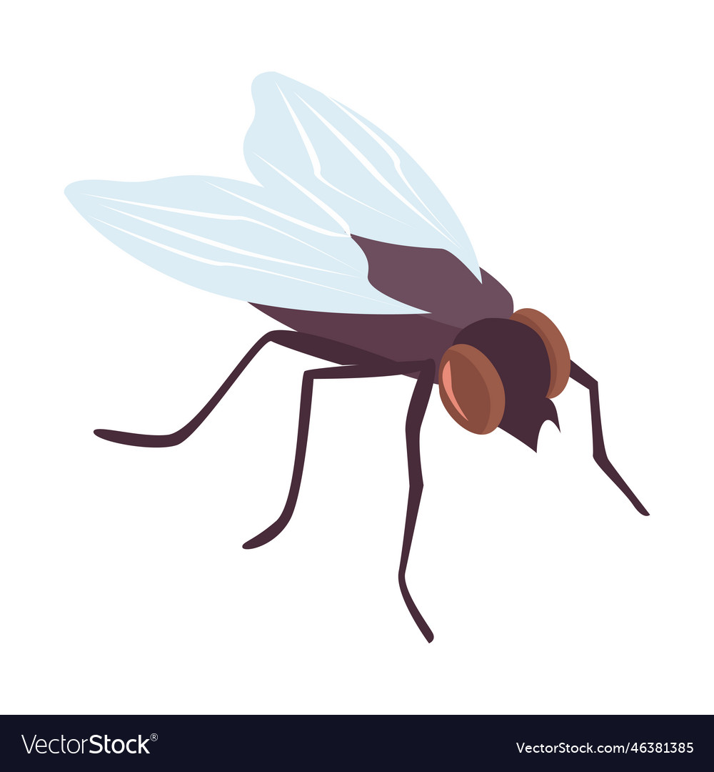 Learning to fly Royalty Free Vector Image - VectorStock