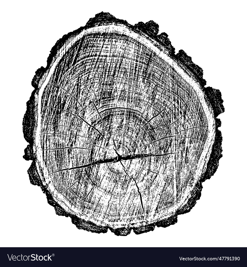 Distressed wood texture Royalty Free Vector Image