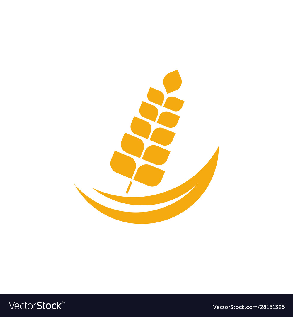 Agriculture wheat logo template luxury Royalty Free Vector