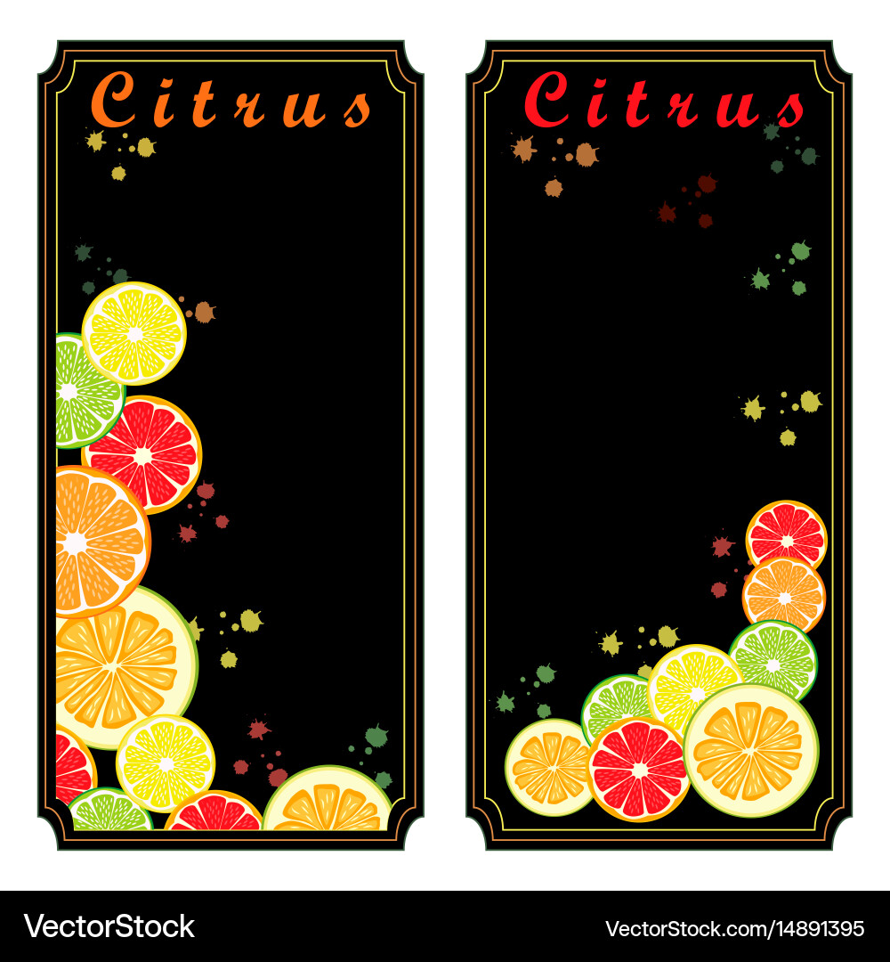 The set citrus Royalty Free Vector Image - VectorStock