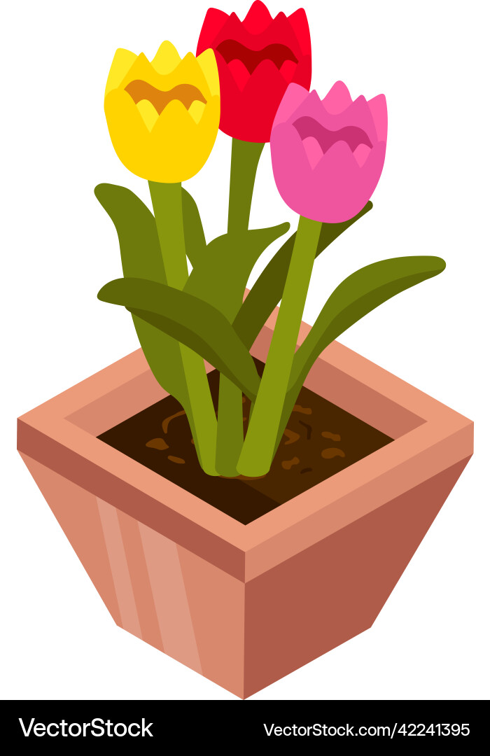 Vector Tuplip Tulips Royalty Free Vector Image - VectorStock