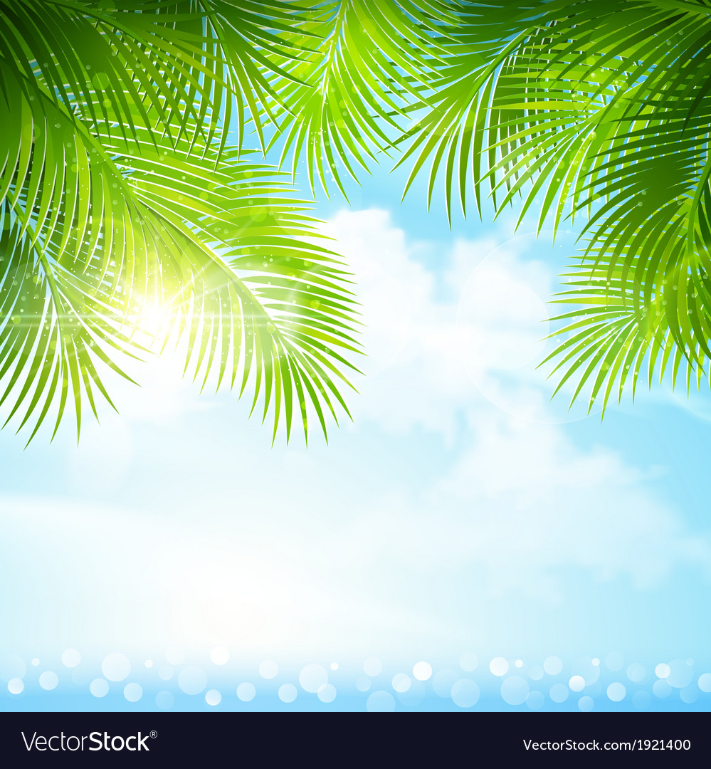 Palm leaves with bright sunlight Royalty Free Vector Image