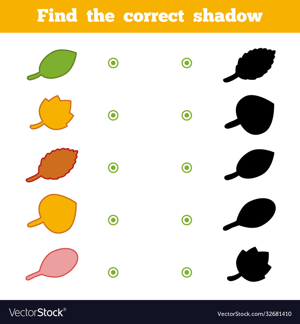 Find correct shadow game for children set Vector Image