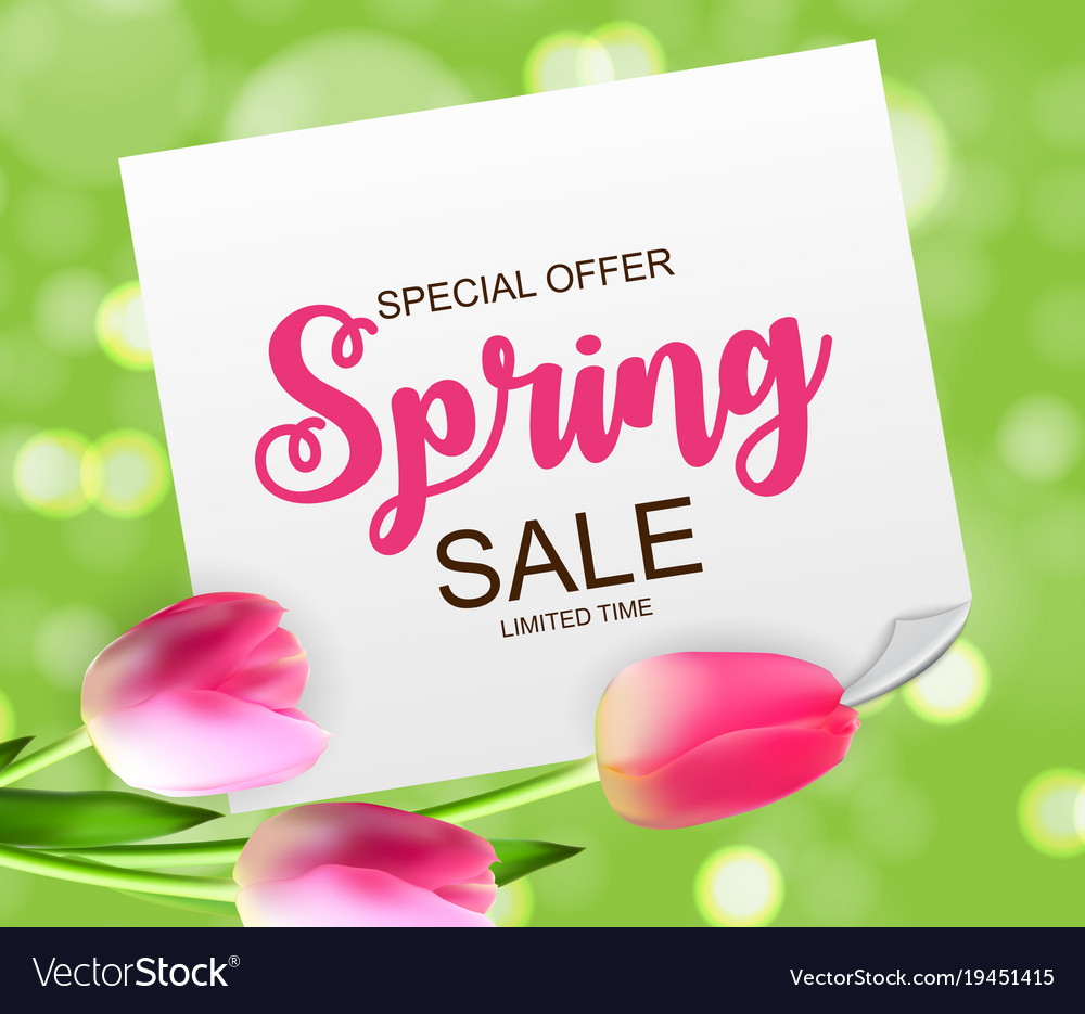 Spring sale cute background with flowers Vector Image