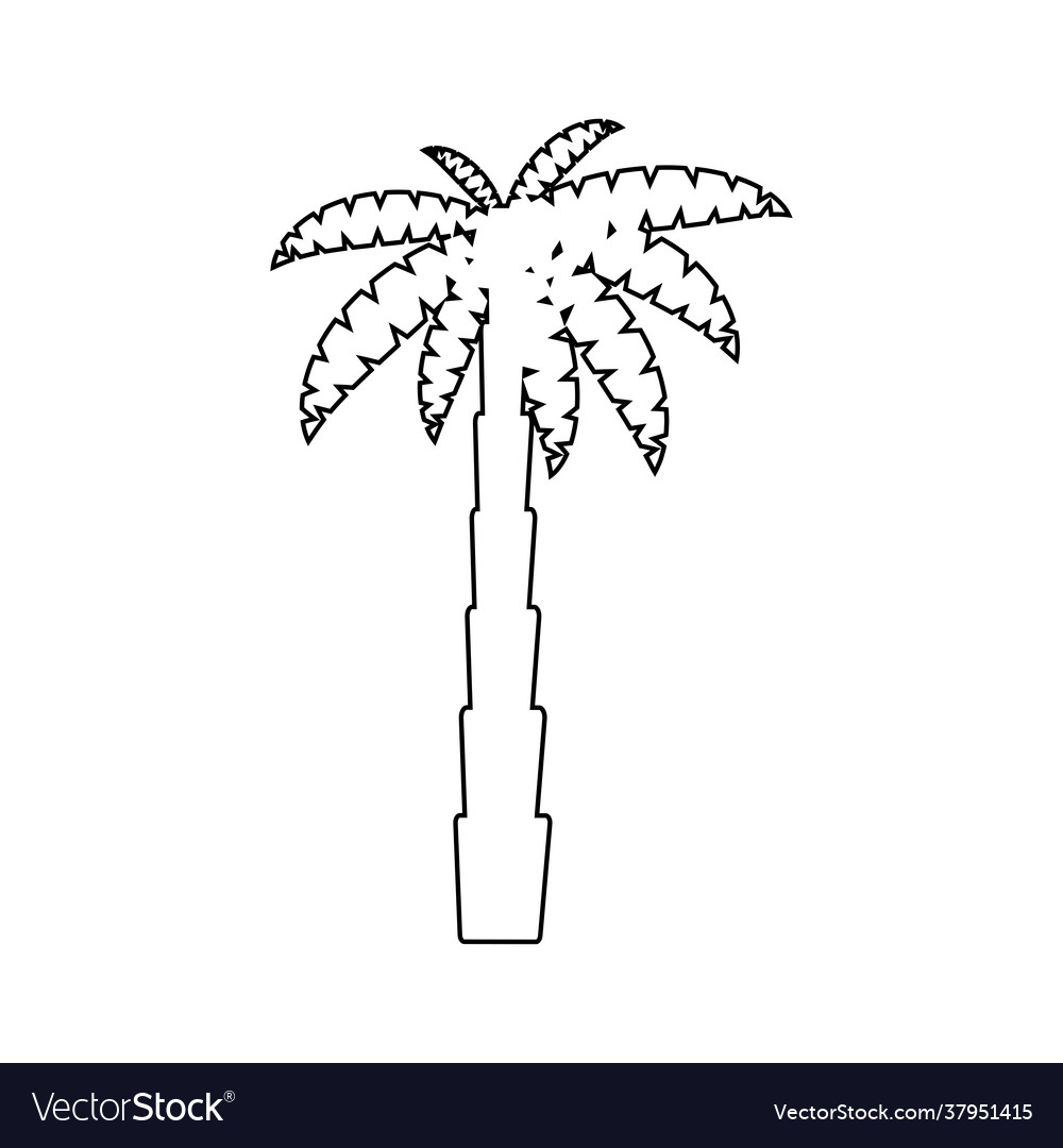 Tropical palm trees black silhouettes and outline Vector Image