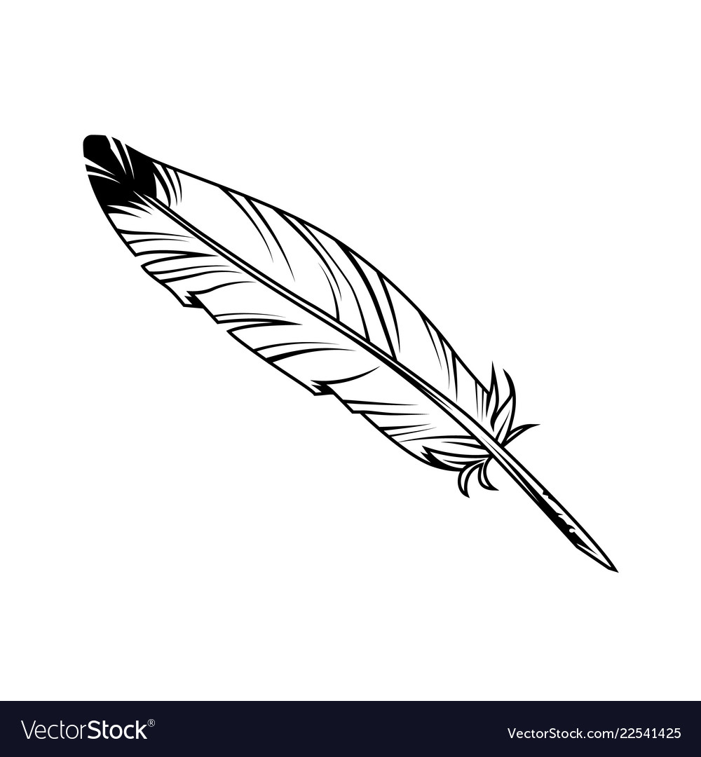 Feather pen Royalty Free Vector Image - VectorStock