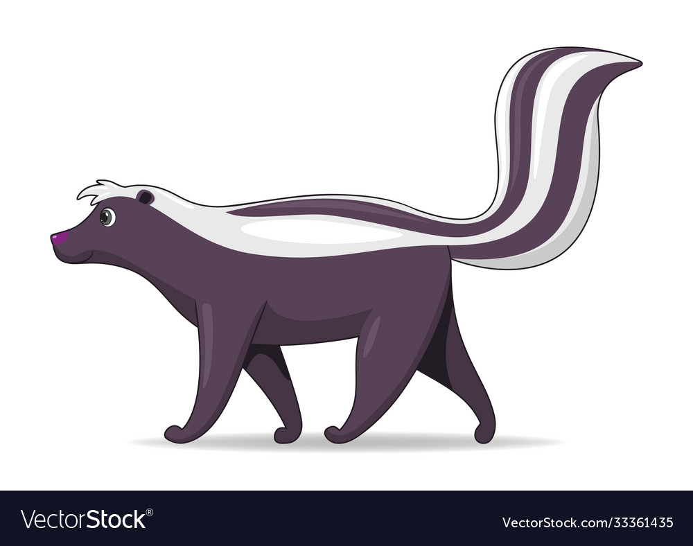 Skunk animal standing on a white background Vector Image Skunk animal standing on a white background Vector Image