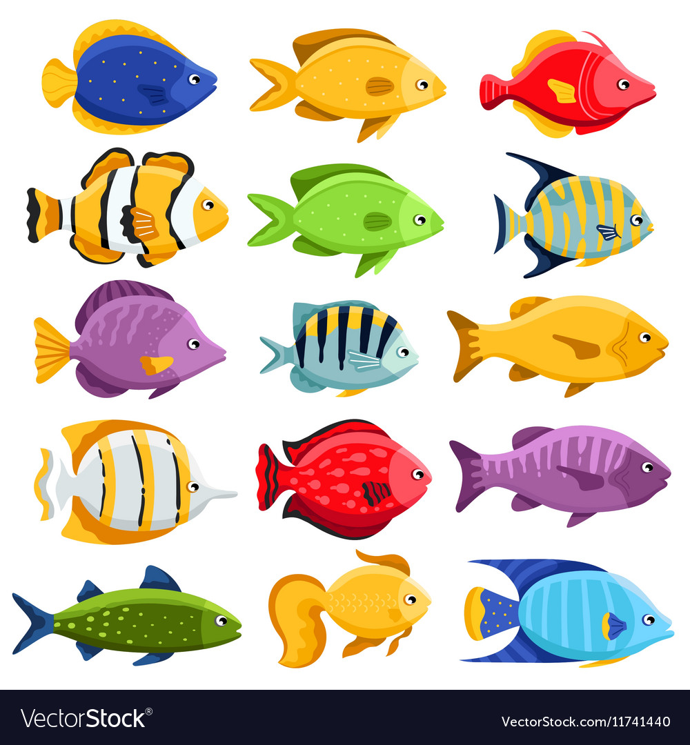 Download Colorful reef tropical fish set Royalty Free Vector Image