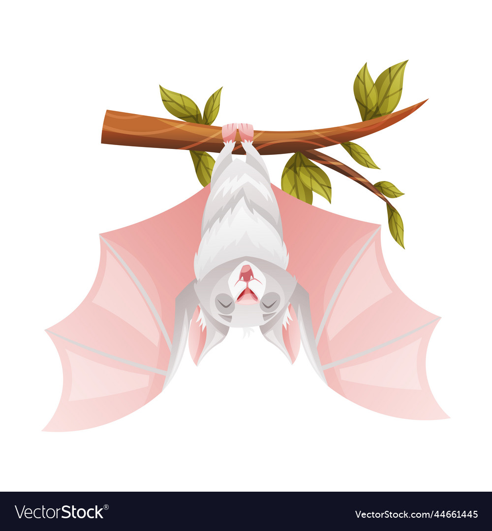 Funny grey bat with cute snout hanging upside down Funny grey bat with cute snout hanging upside down
