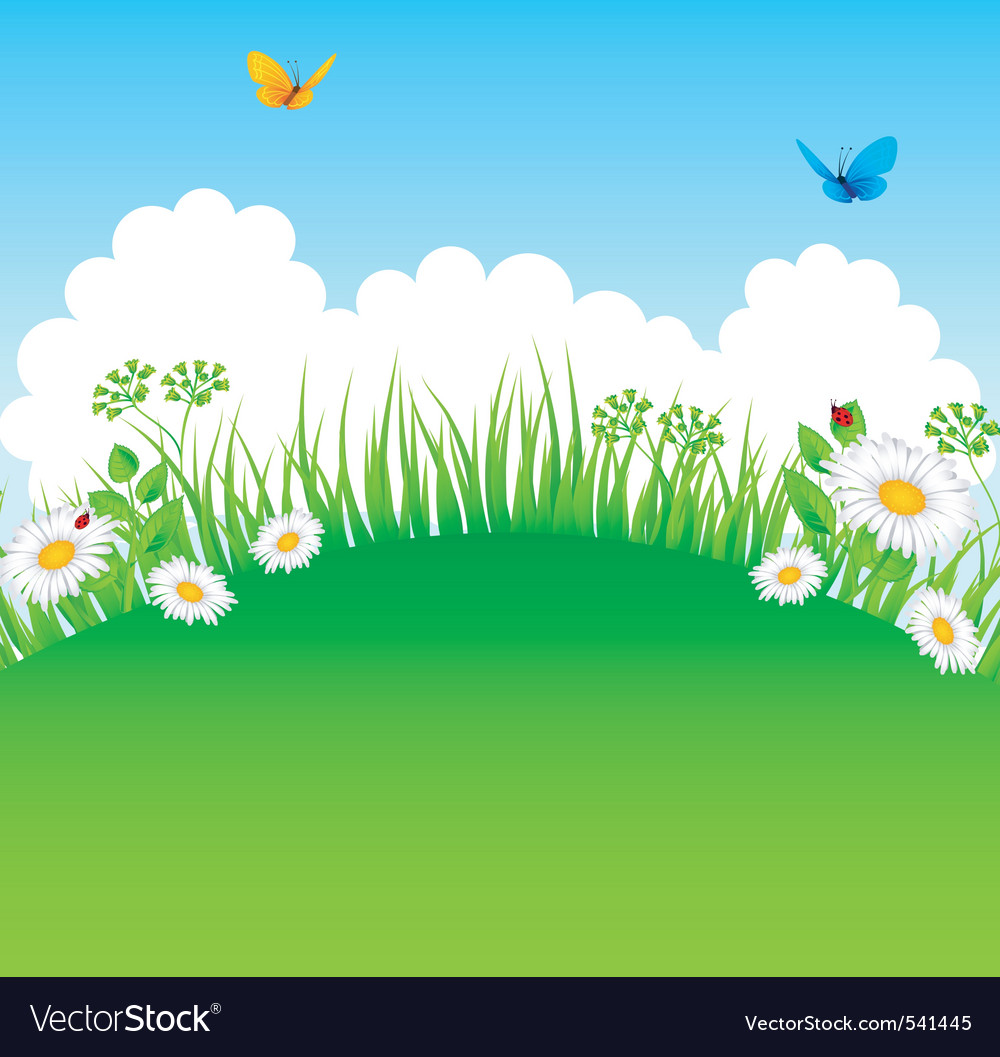 Grass backgr Royalty Free Vector Image - VectorStock