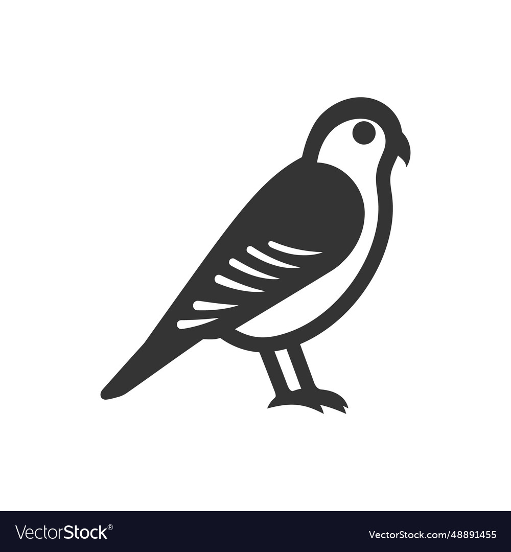 American kestrel bird icon Royalty Free Vector Image