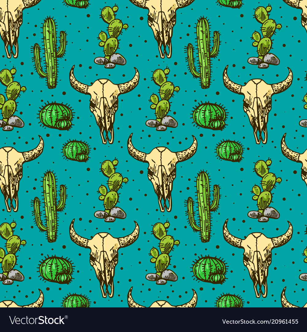 Cactus and skull of bull vector image Cactus and skull of bull