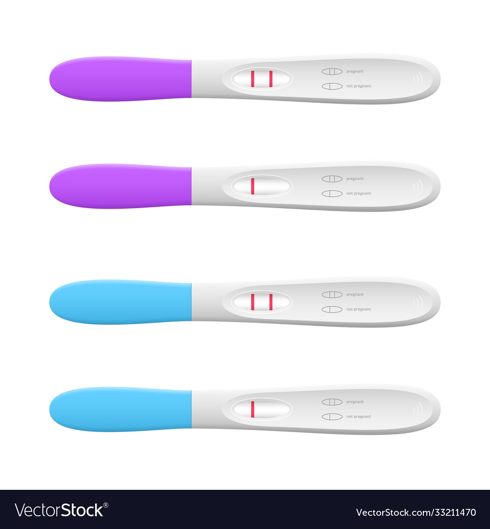 Realistic 3d Detailed Color Pregnancy Test Set Vector Image