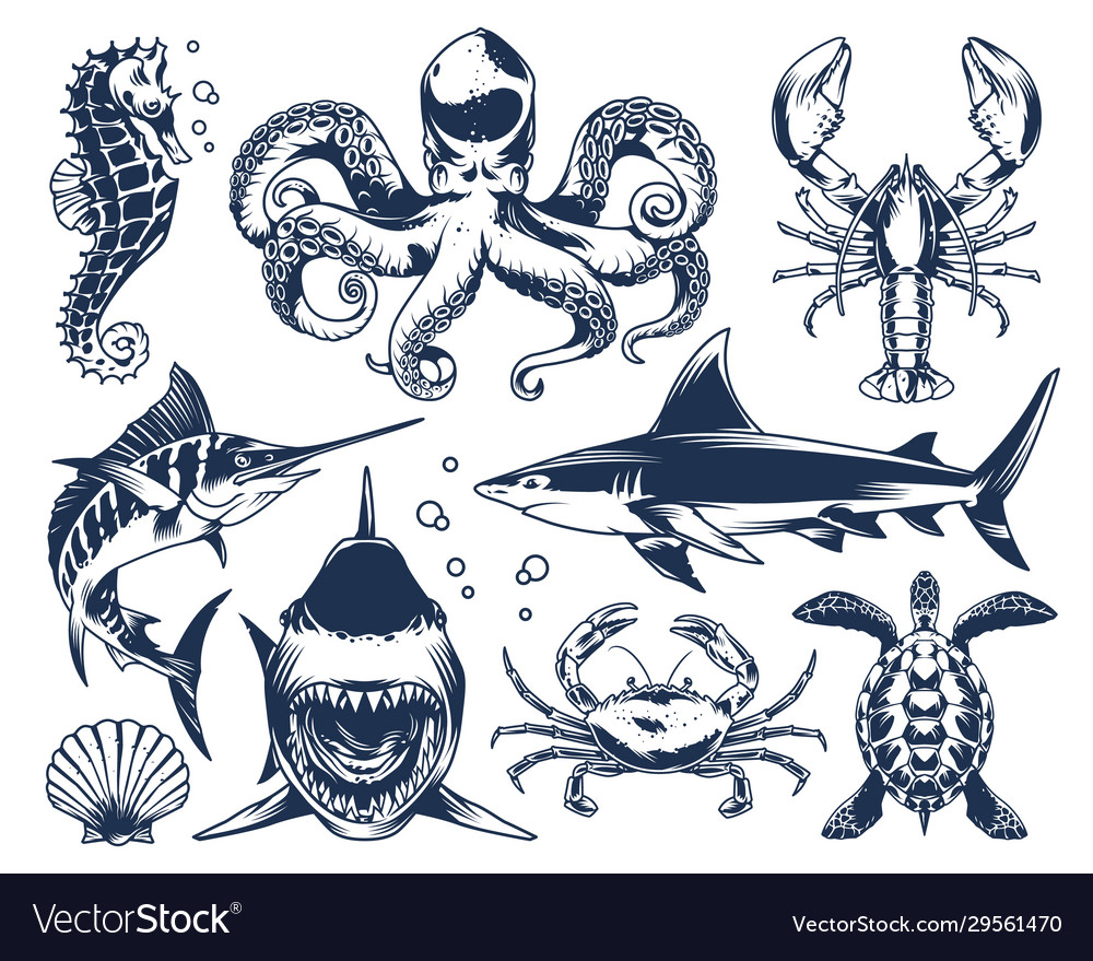 Sea animals vintage set Royalty Free Vector Image