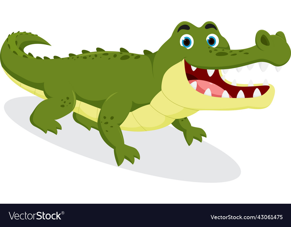 Cute crocodile cartoon isolated on white Vector Image