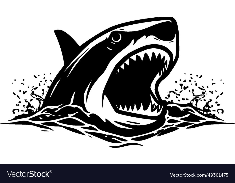 Shark - black and white Royalty Free Vector Image