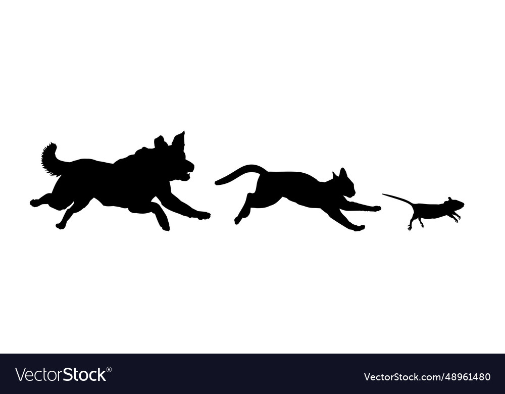 Dog cat and mouse in running Royalty Free Vector Image