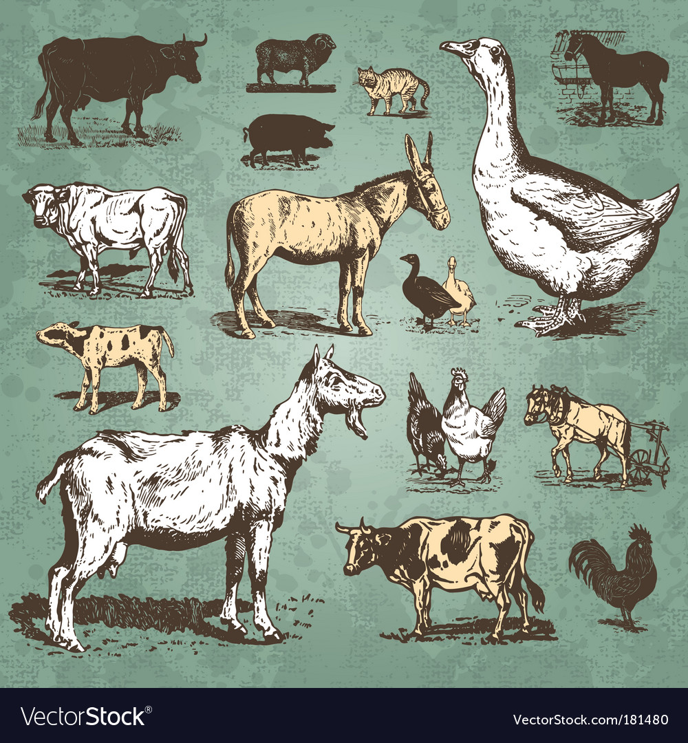 Farm animals vintage set Royalty Free Vector Image