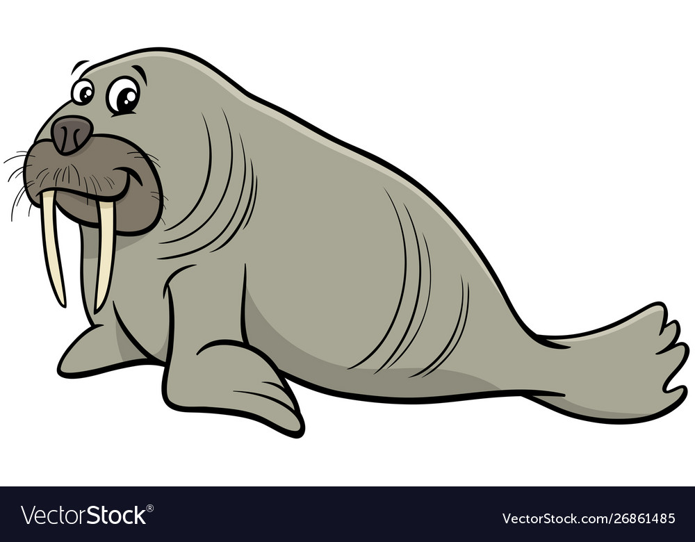 Walrus Wild Animal Character Cartoon Royalty Free Vector