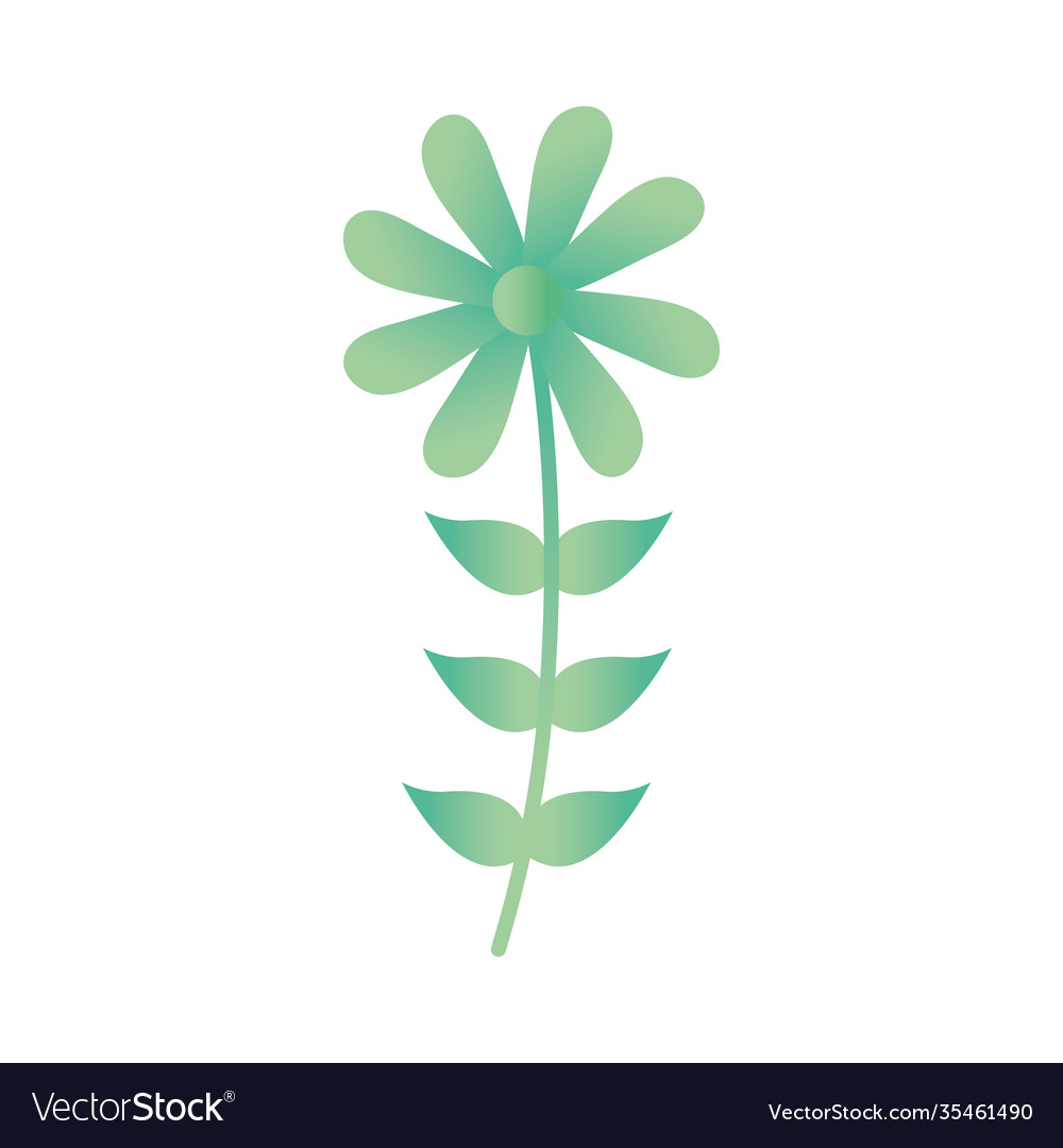 Flower with a green color Royalty Free Vector Image