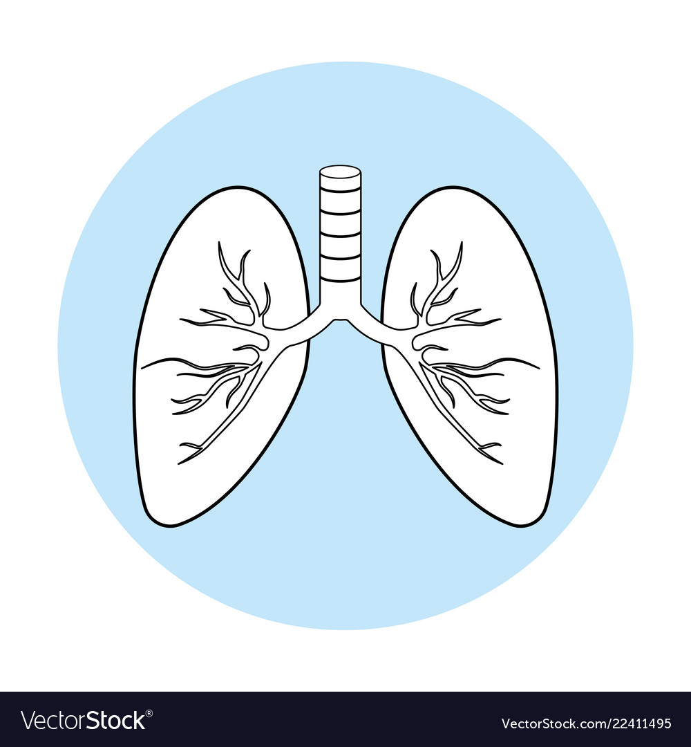 Human lungs symbol Royalty Free Vector Image VectorStock