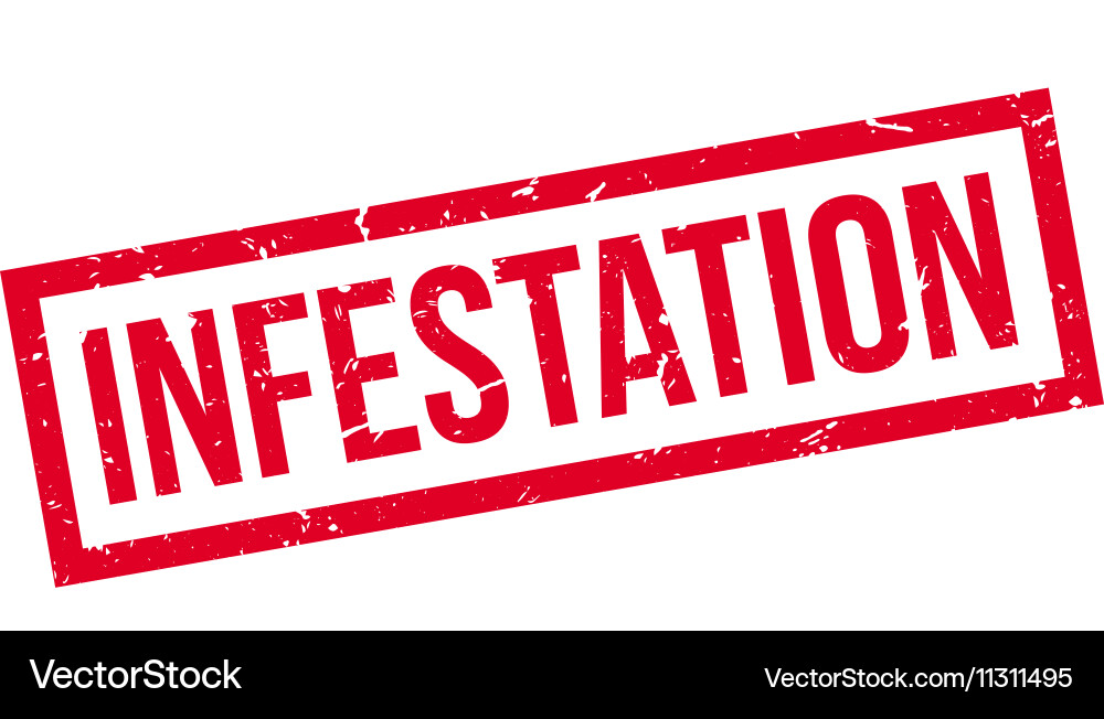Infestation rubber stamp Royalty Free Vector Image