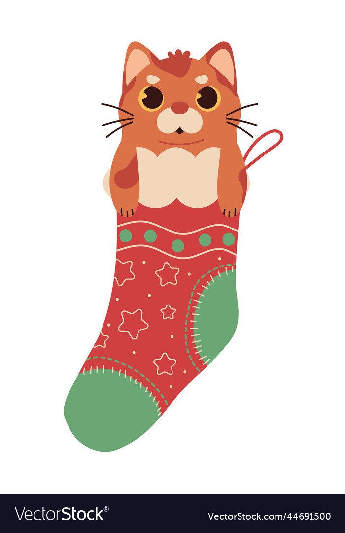 Christmas cat in sock Royalty Free Vector Image