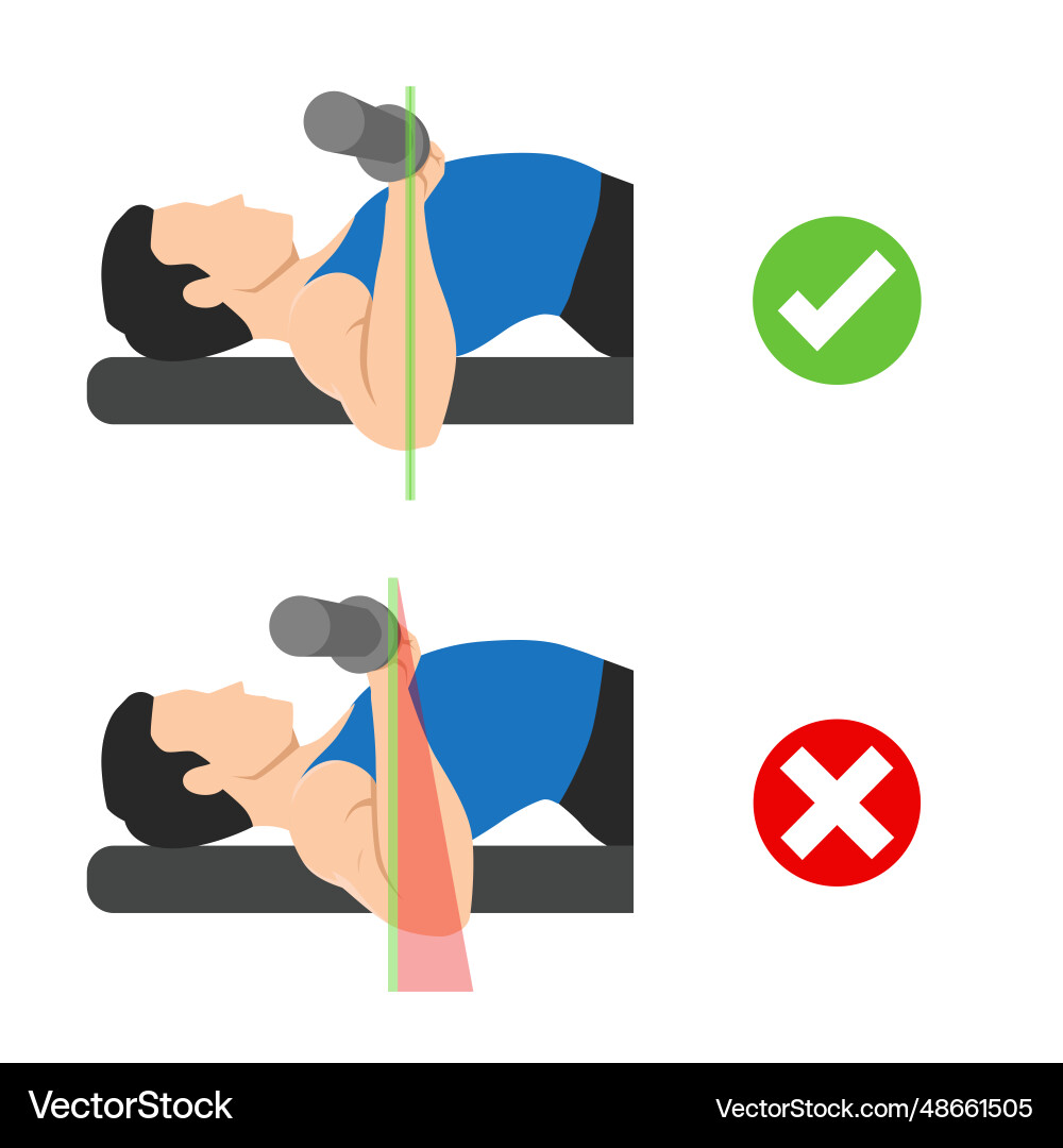 Man doing barbell bench press chest press elbows Vector Image