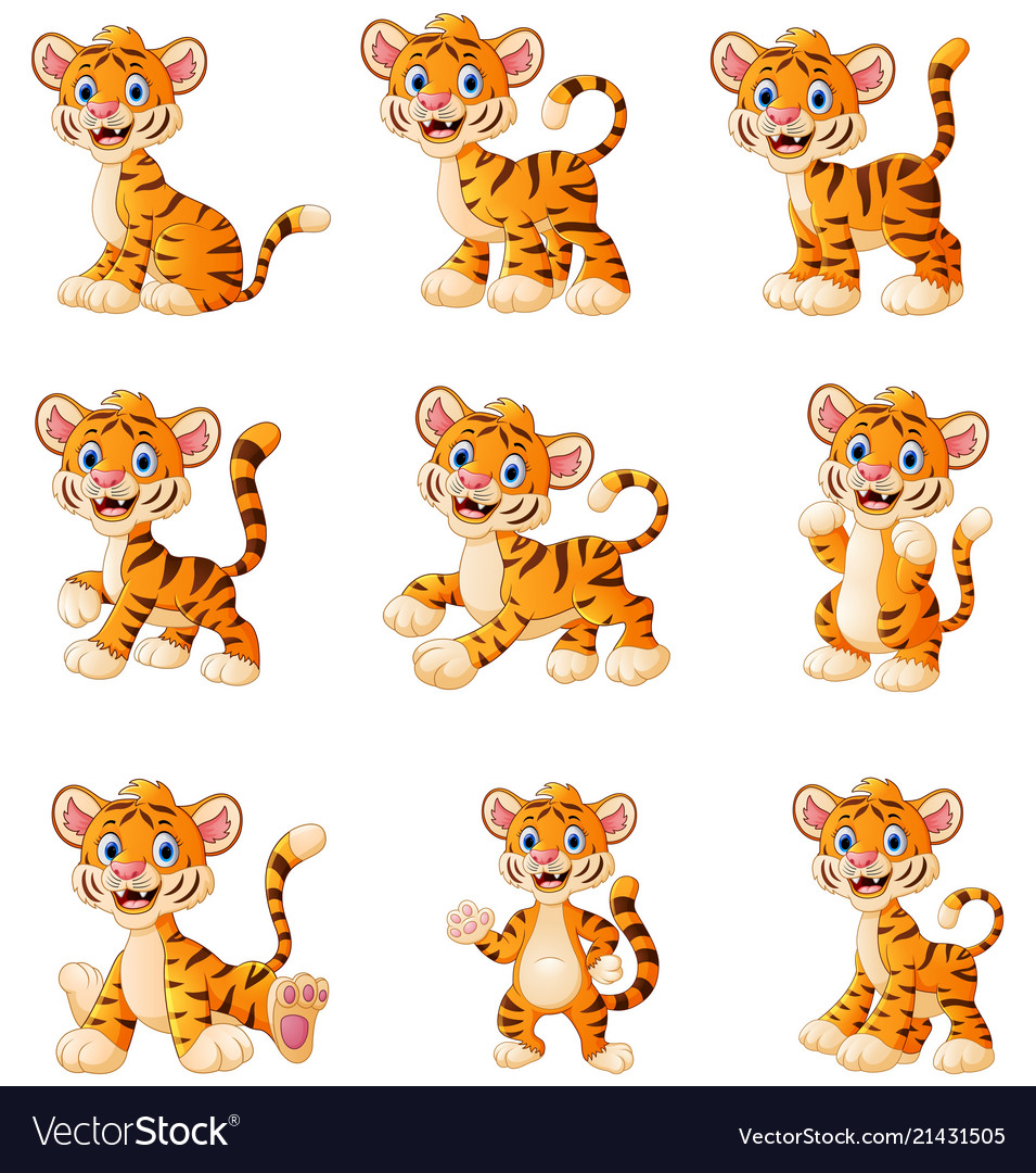 Tiger cartoon set collection Royalty Free Vector Image Tiger cartoon set collection Royalty Free Vector Image