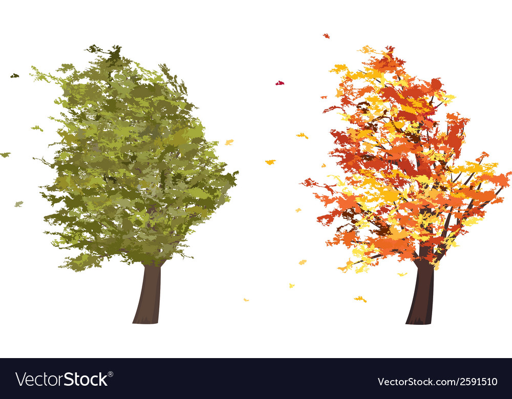 Autumn and summer grunge tree in the wind Vector Image