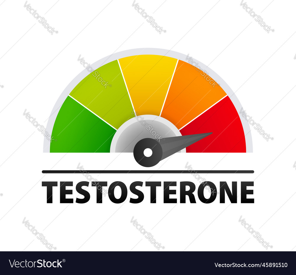 Testosterone Level Metering Hormone Royalty Free Vector