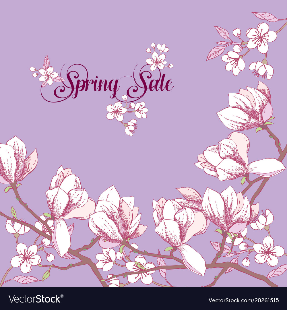 Background With Magnolia And Cherry Blossom Tree Vector Image