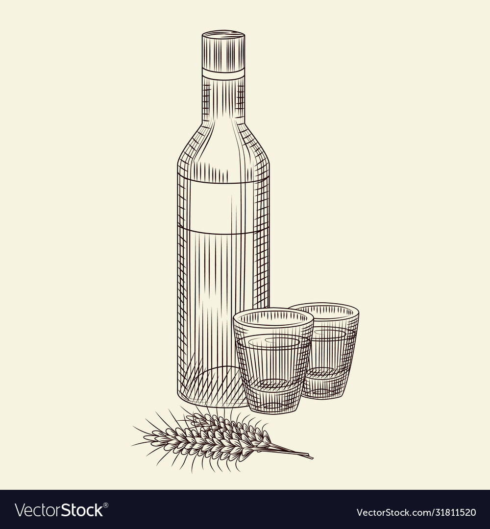 Bottle vodka and two full shot drink hand Vector Image