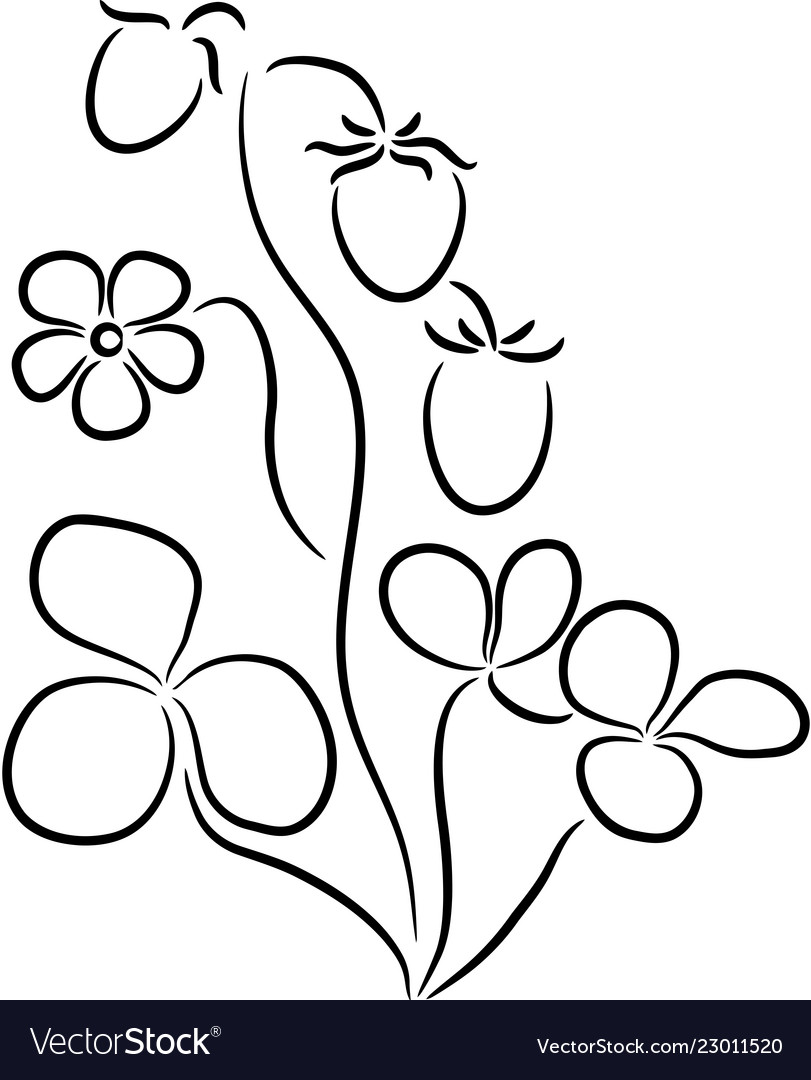 Strawberry Royalty Free Vector Image - VectorStock