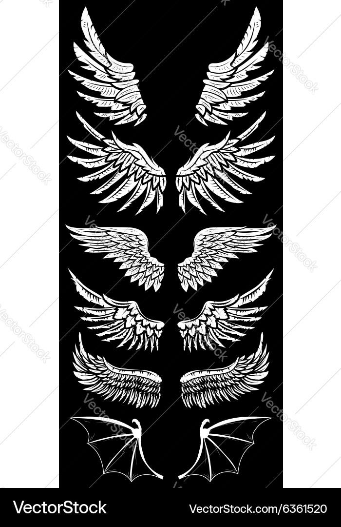Wings set2 Royalty Free Vector Image - VectorStock