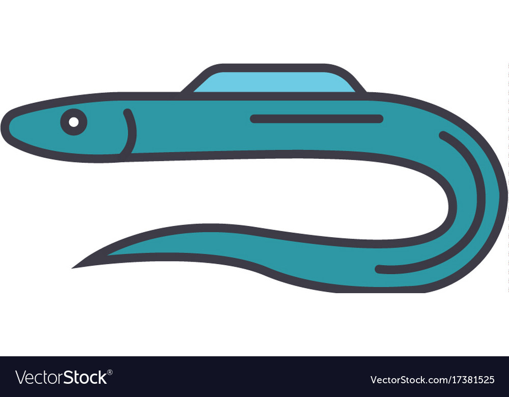 Moray eel flat line concept