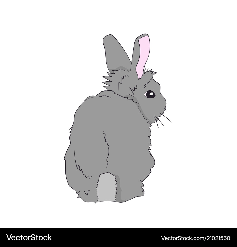 Hare sits Royalty Free Vector Image - VectorStock