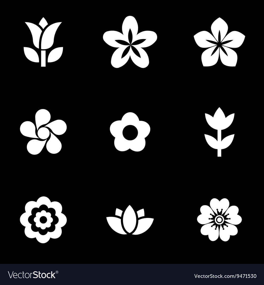 White Flower Symbol