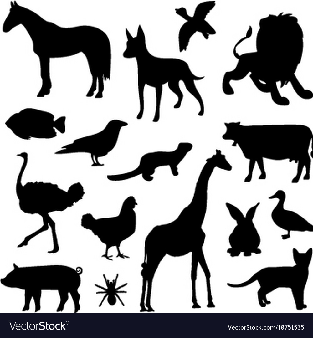 pictogram animals