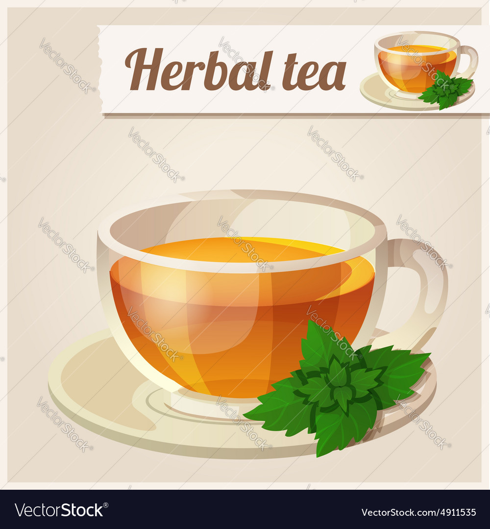 Detailed icon mint tea Royalty Free Vector Image