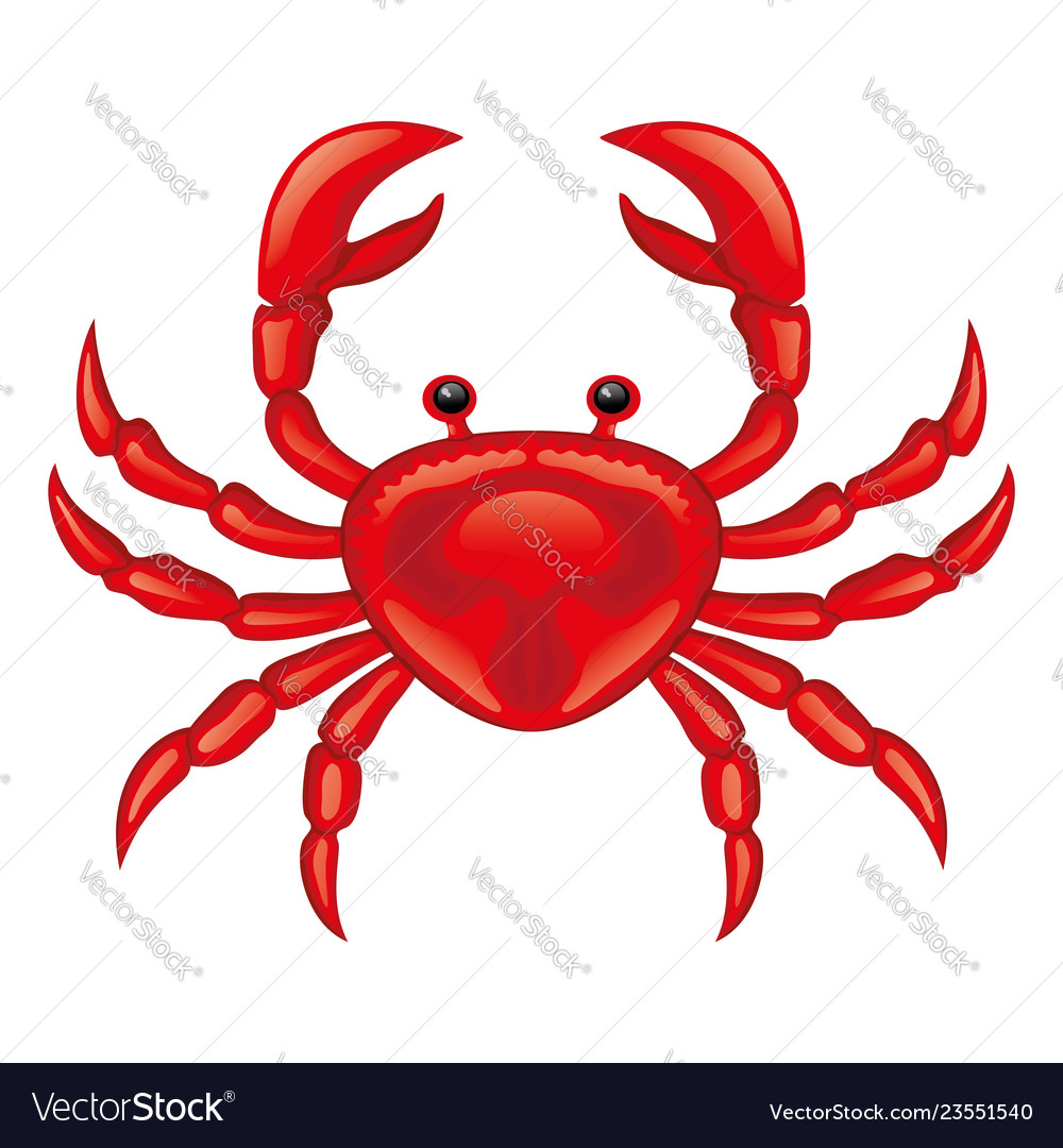 Red crab icon Royalty Free Vector Image - VectorStock