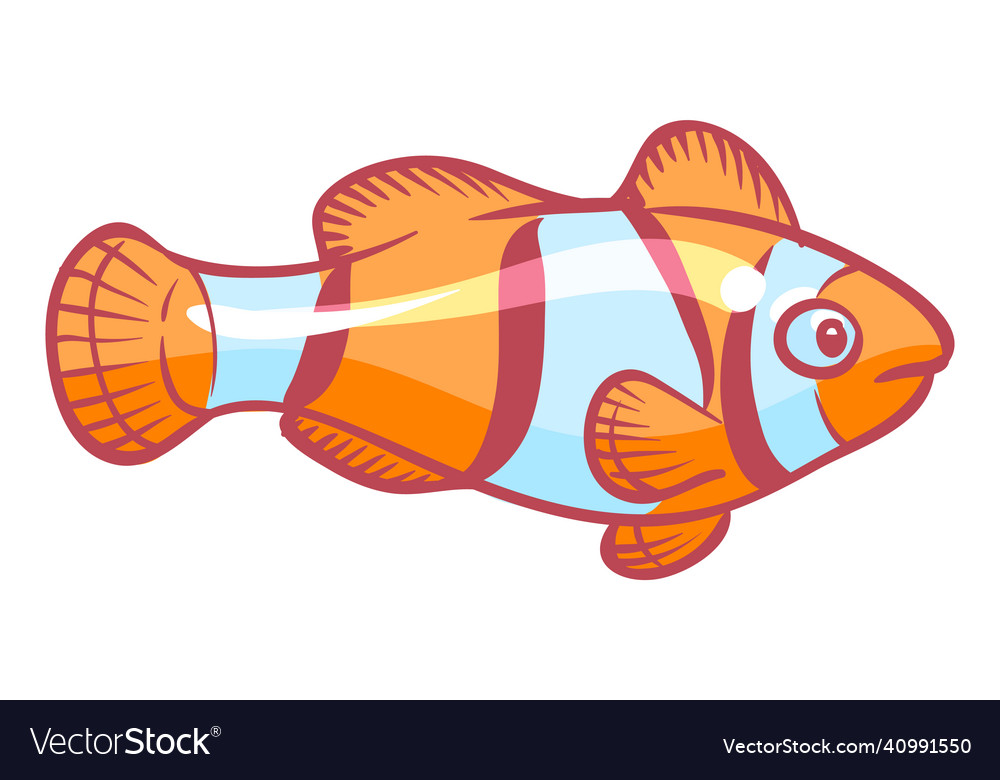 Clown fish shiny striped aquarium fish tropical Vector Image