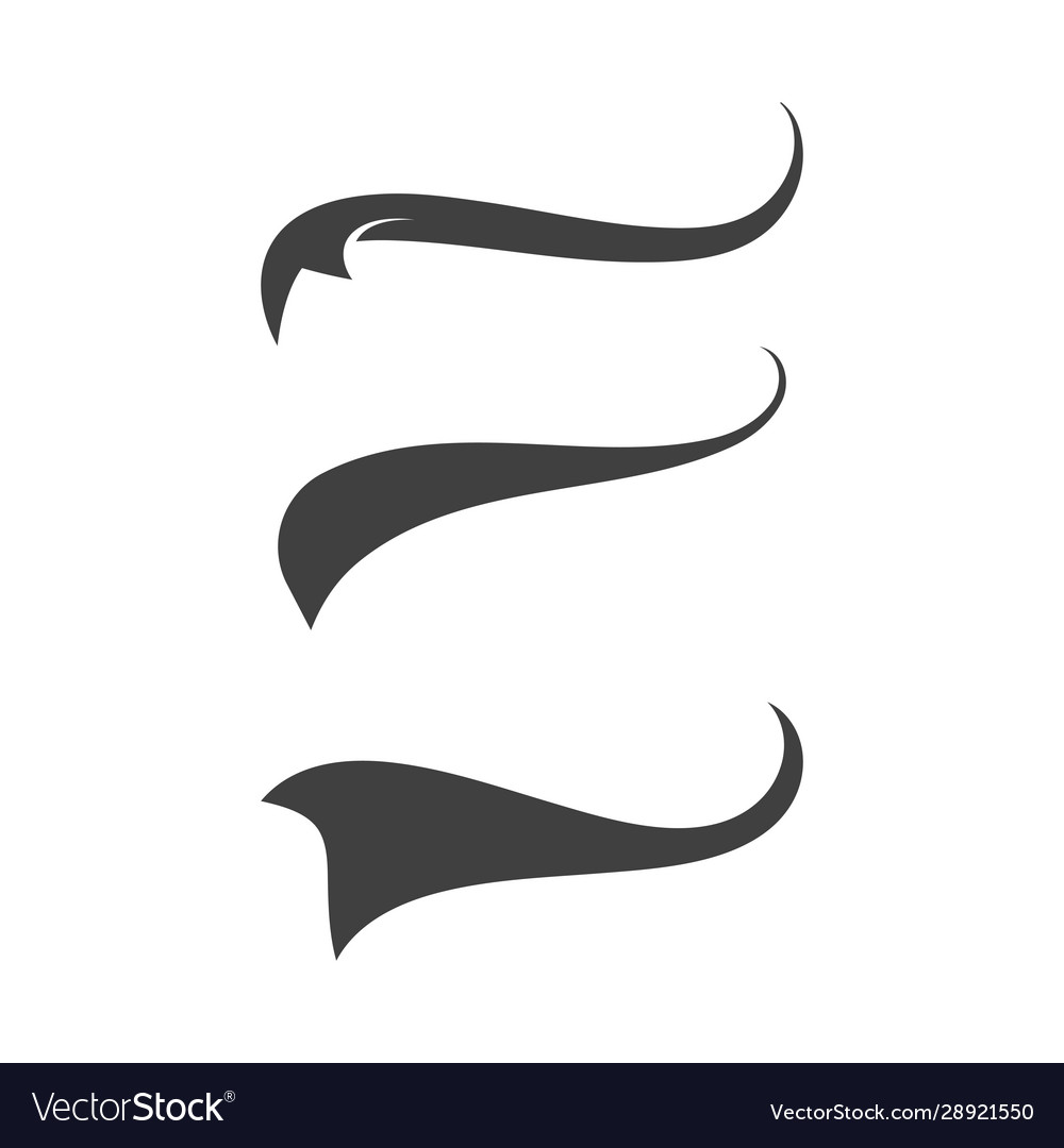 Typographic swash and swooshes tails retro Vector Image