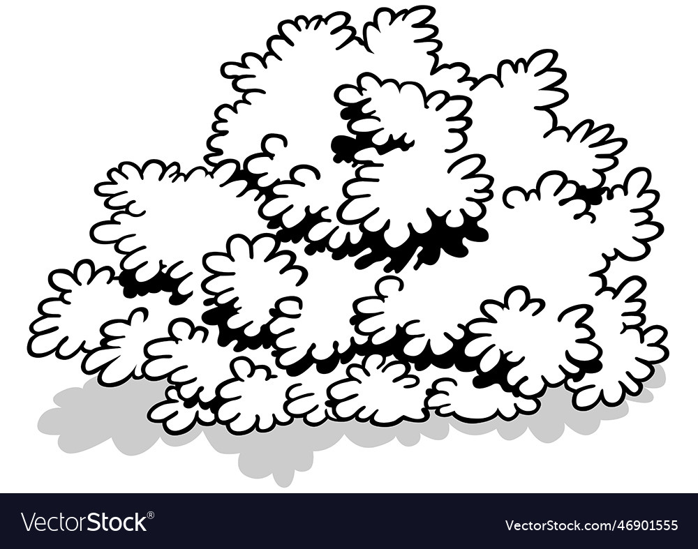 Drawing of a dense shrub Royalty Free Vector Image