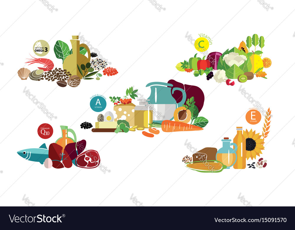 Fundamentals of a balanced diet Royalty Free Vector Image