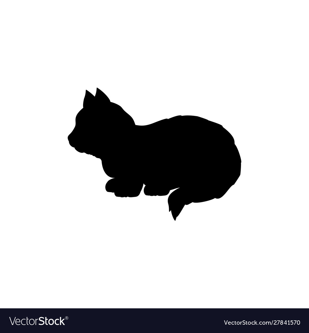 Silhouette little kitten cute young pet animal Vector Image