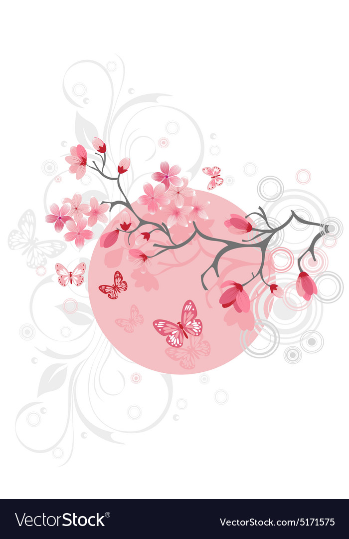 Cherry blossom background Royalty Free Vector Image